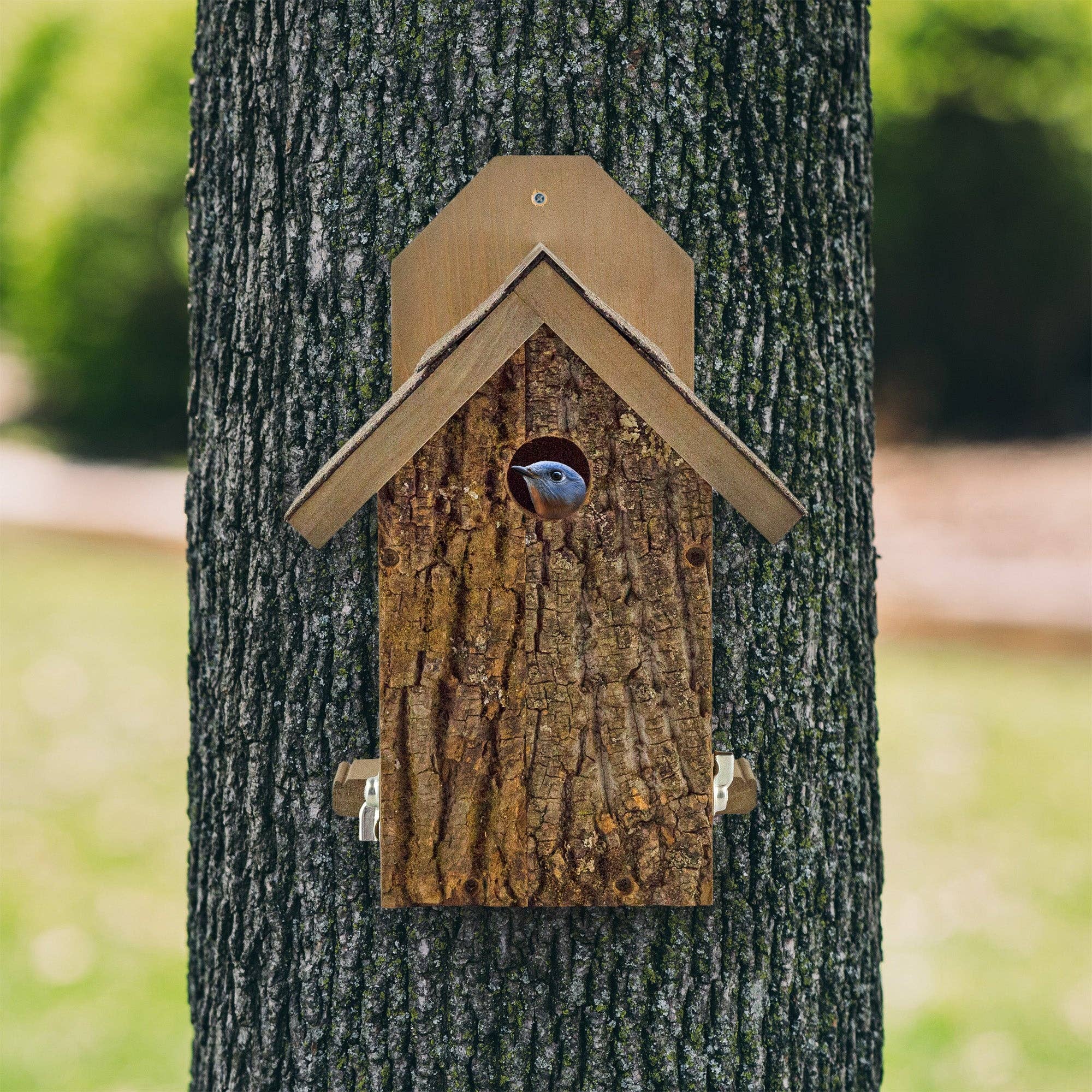 Kurated Korner - Wholesale Bird House - Uncle Dunkel's Ultimate Bluebird House4