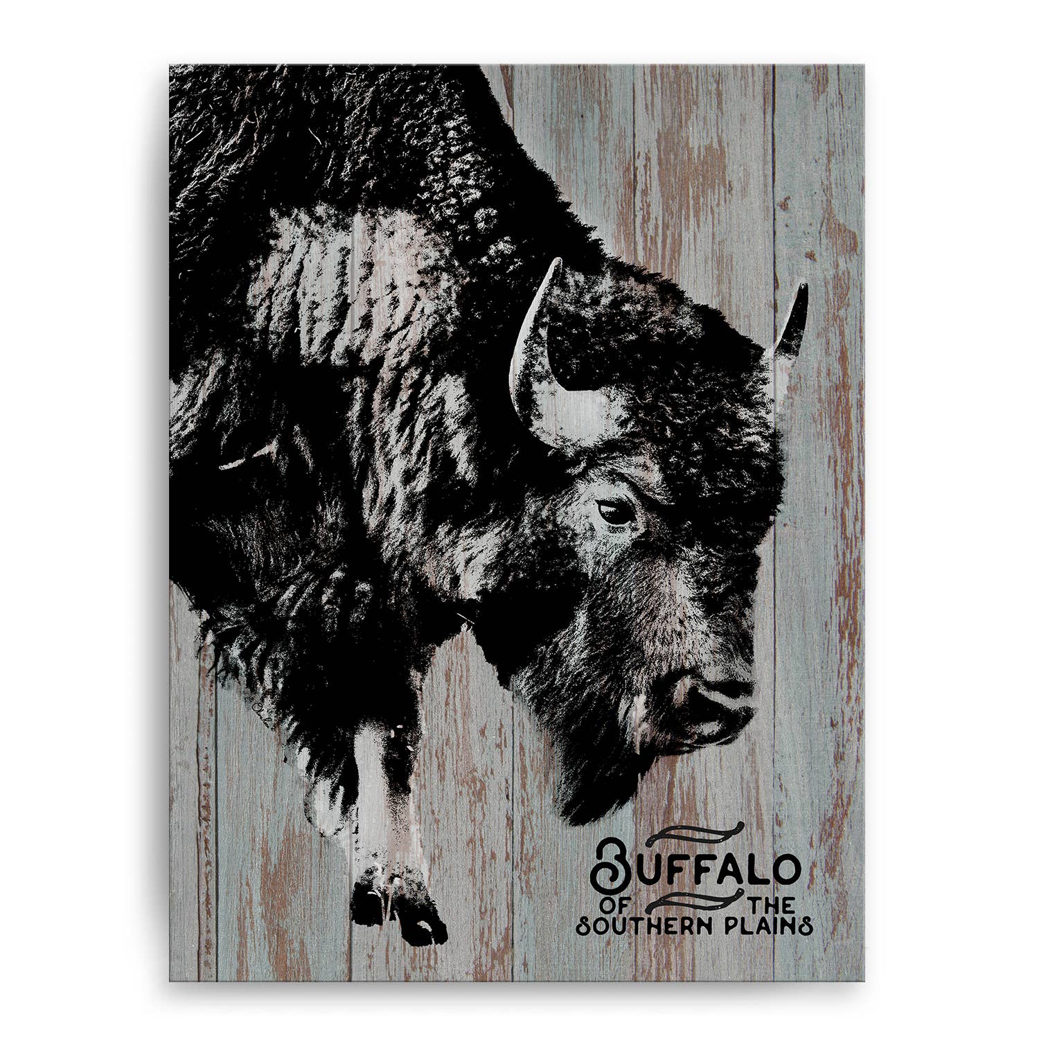 Ready2hangart, Inc. - Vente Affiche d'art - Buffalo' Farmhouse Toile Enveloppée Animal Art mural2