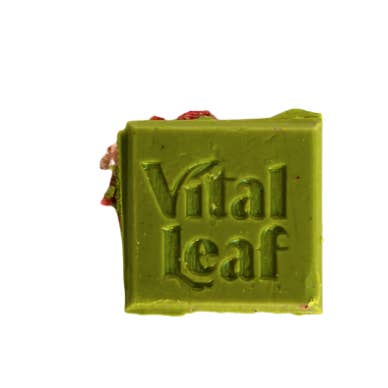 Vital Leaf - Wholesale Chocolate Bar - Strawberry Matcha Latte Chocolate Mini Bar | Ashwagandha + L-Theanine | 14-UNIT CASE5