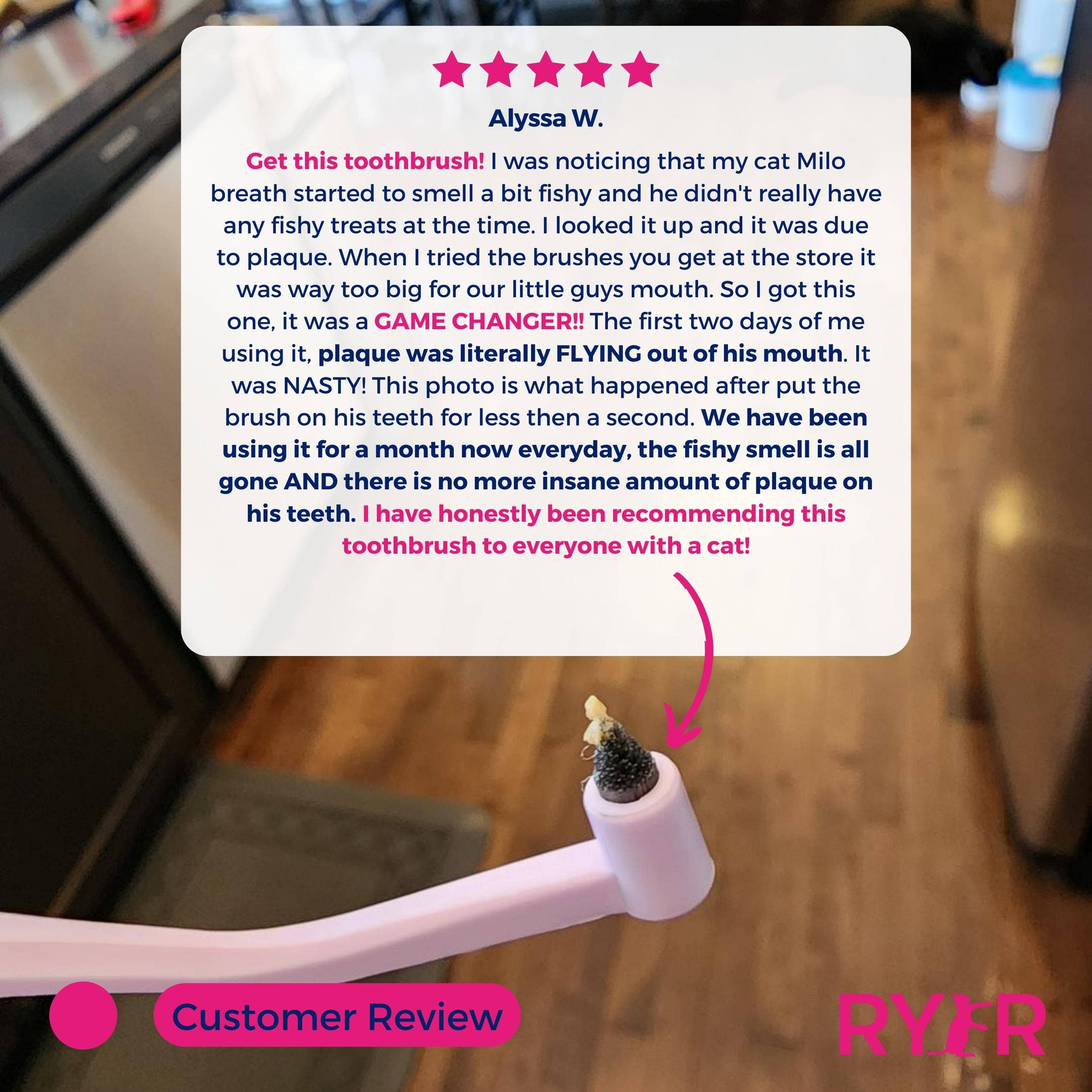 RYERCAT - Vente Brosse – chat et chien - Lot de brosses à dents à micro-tête et double face pour chat, couleurs mélangées !7