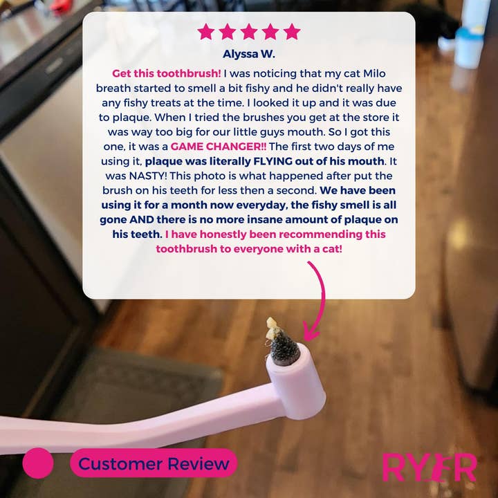 RYERCAT - Vente Brosse – chat et chien - Lot de brosses à dents à micro-tête et double face pour chat, couleurs mélangées !7