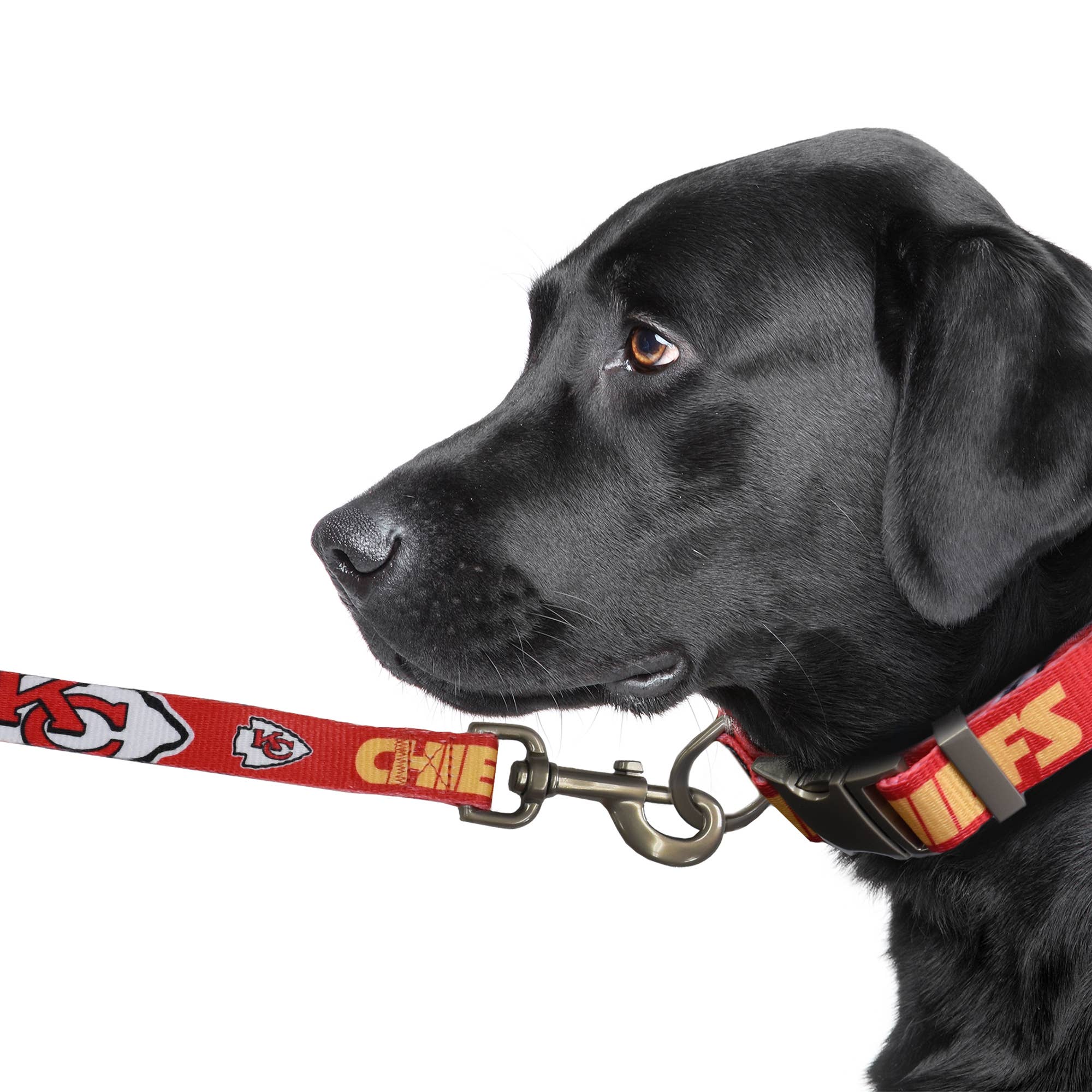 Little Earth Productions - Wholesale Pet Leash - Dog - NFL Kansas City Chiefs Premium Pet Lead1