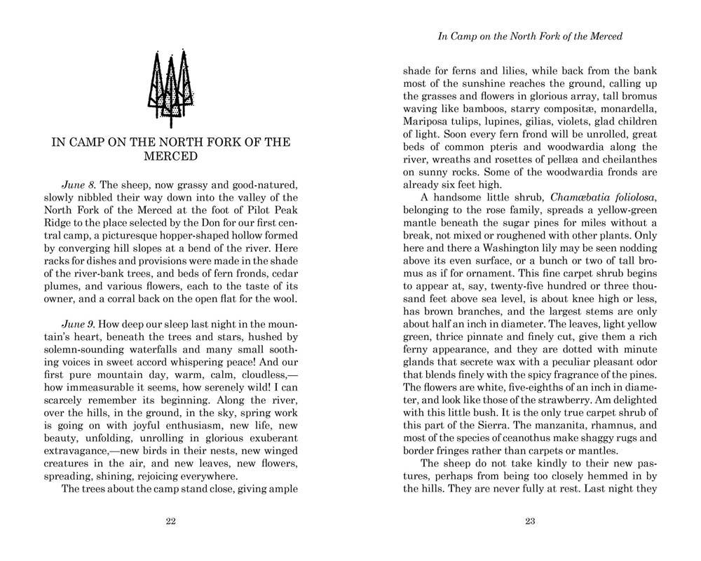 Gibbs Smith - Wholesale Nature & Outdoors Book - My First Summer in the Sierra2