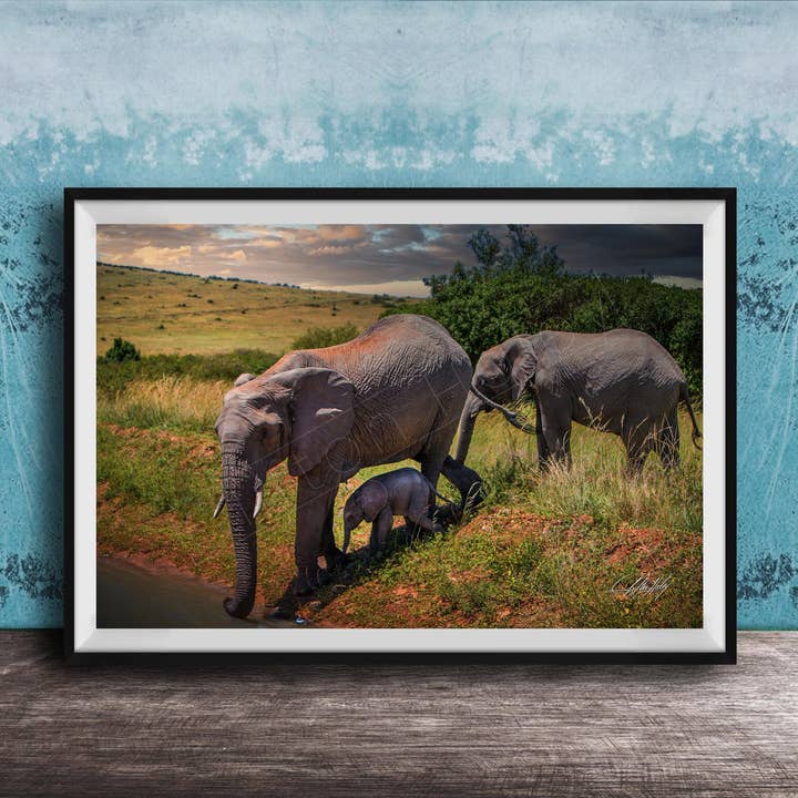 African Safari Family Scene - Kilimanjaro for wholesale by Clifton Haley Photography