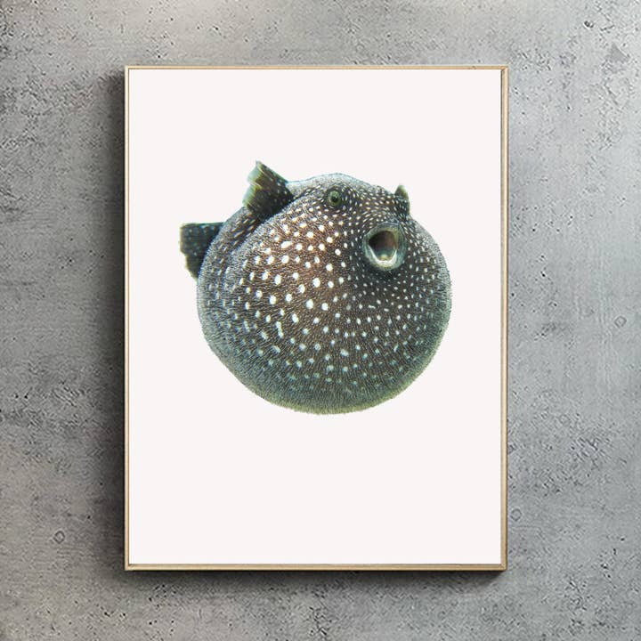 Guineafowl Pufferfish - A2 Print (portrait) for wholesale by Hidden Planet