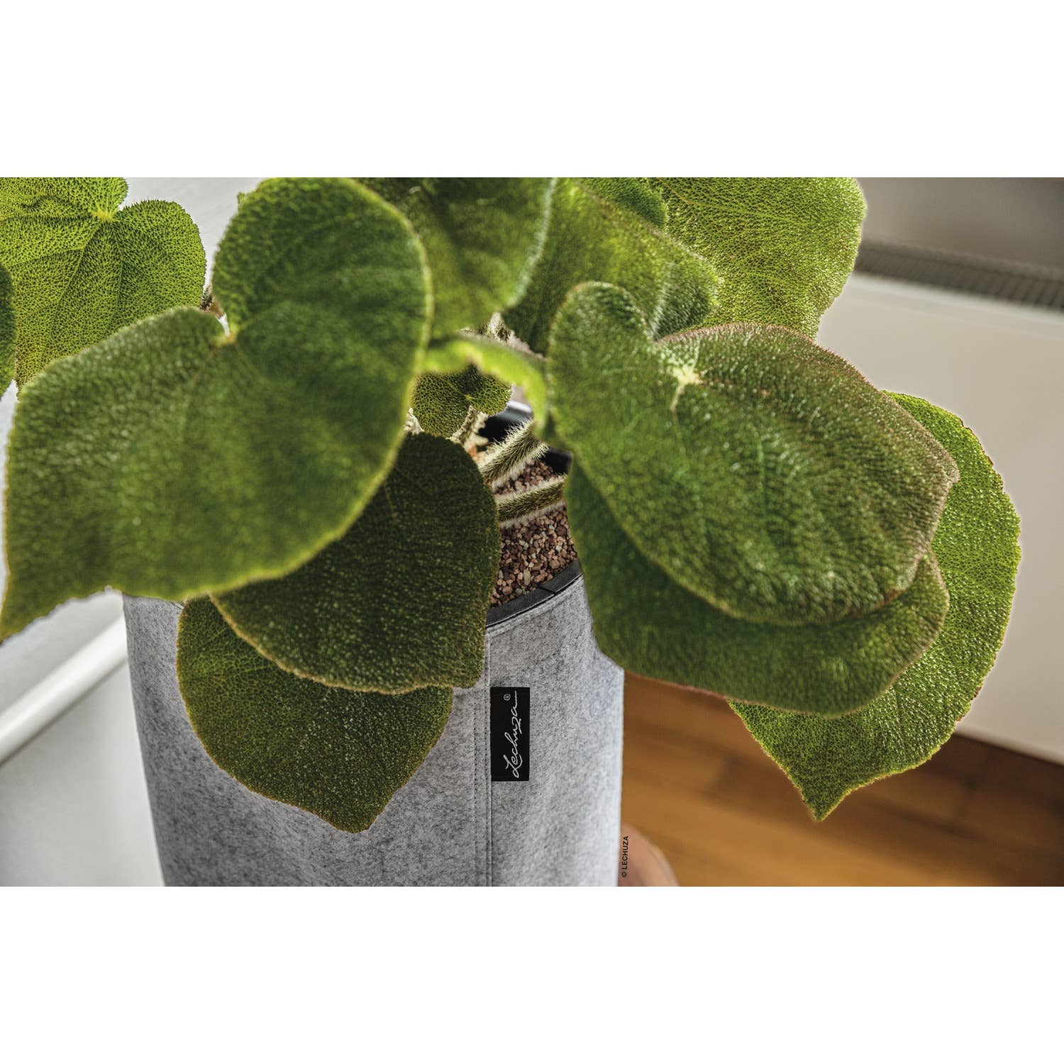 Lechuza Self Watering Planters – Engroshandel Plantekrukke – LECHUZA TRENDCOVER Filt Poly Resin Selvvandende Plant Pot8