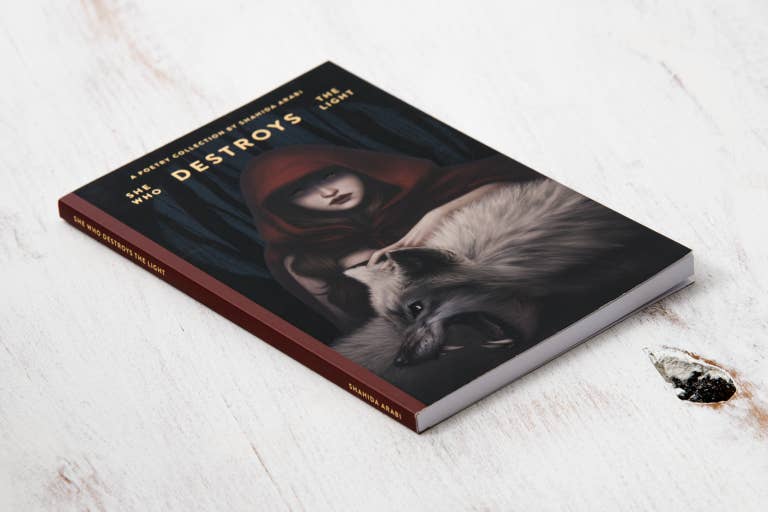 Thought Catalog - Wholesale Poetry & Drama - She Who Destroys The Light: Fairy Tales Gone Wrong - book10