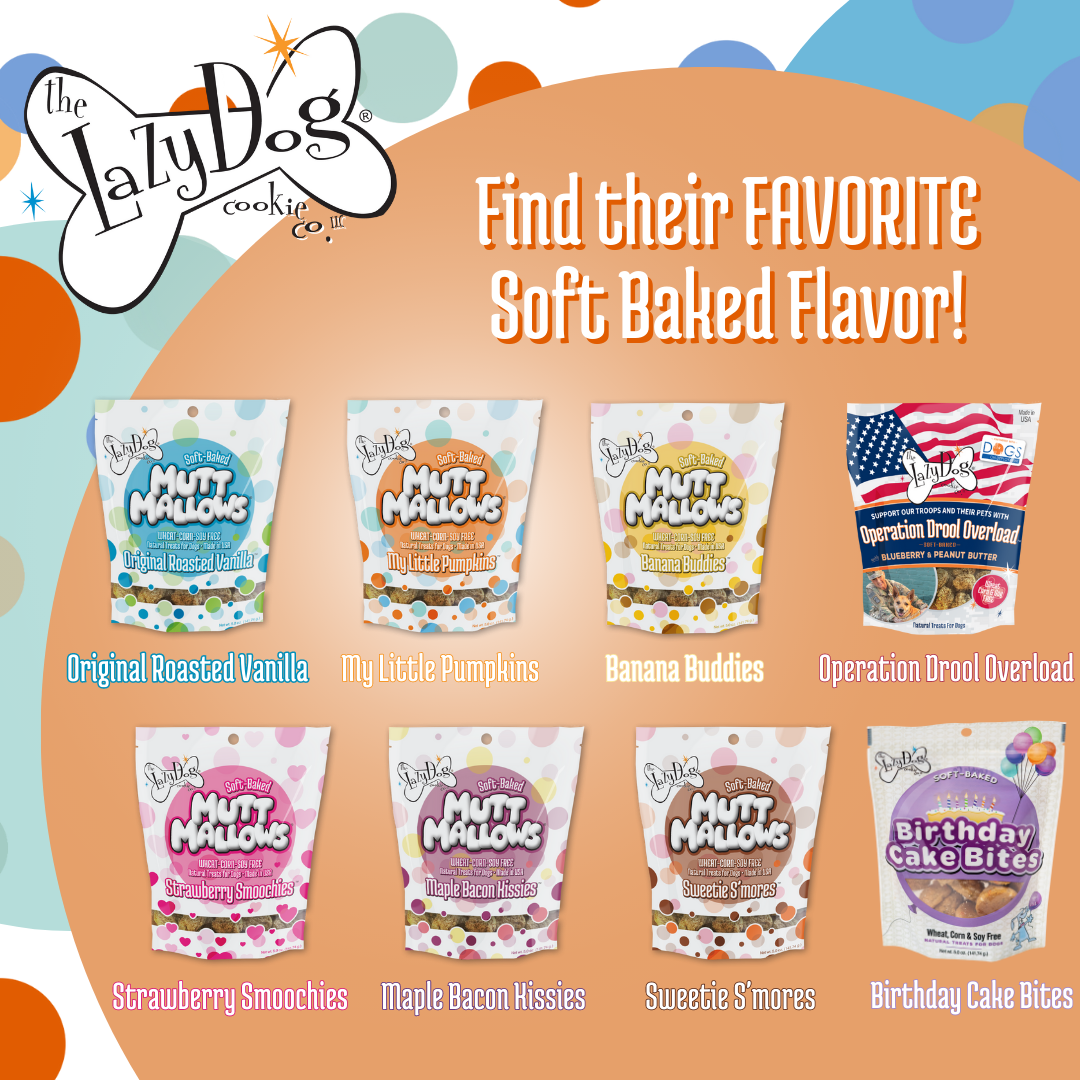 The Lazy Dog Cookie Co., Inc. - Wholesale Pet Treats - Dog - My Little Pumpkins4