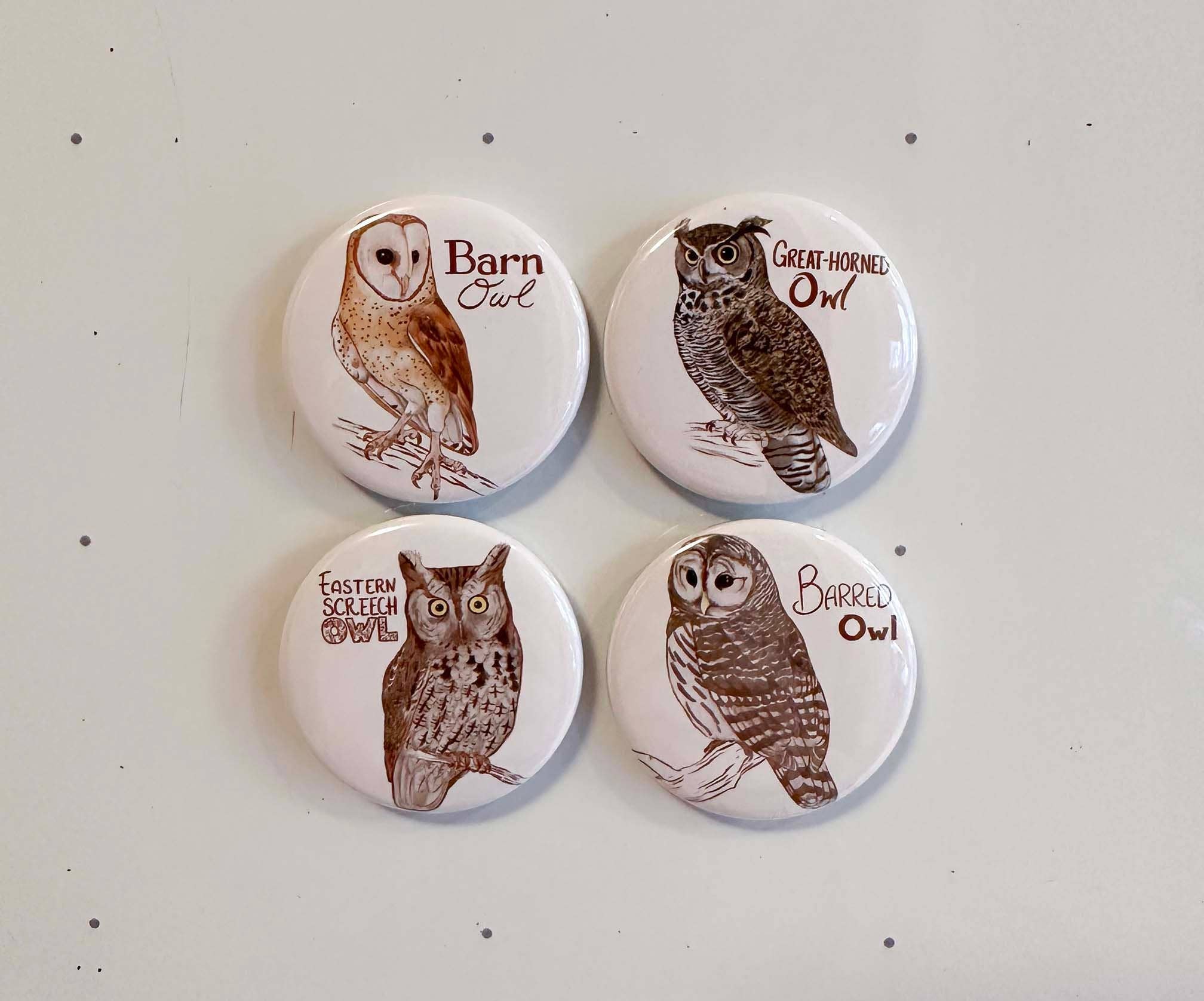River Thrush Studio - Wholesale Magnet - Eastern Owls - Magnet Set of 41