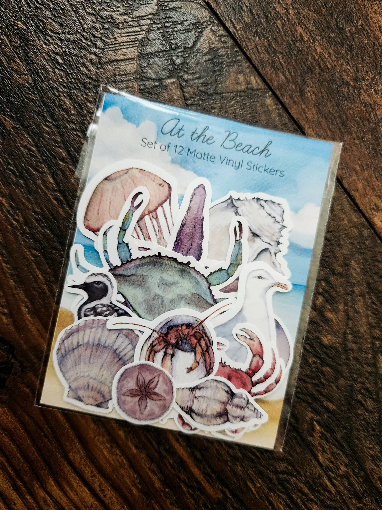 Stephanie Hathaway Designs - Vendita all'ingrosso Adesivo - Pacchetto di Adesivi da Spiaggia, Set di 12 Adesivi in Vinile Opaco3