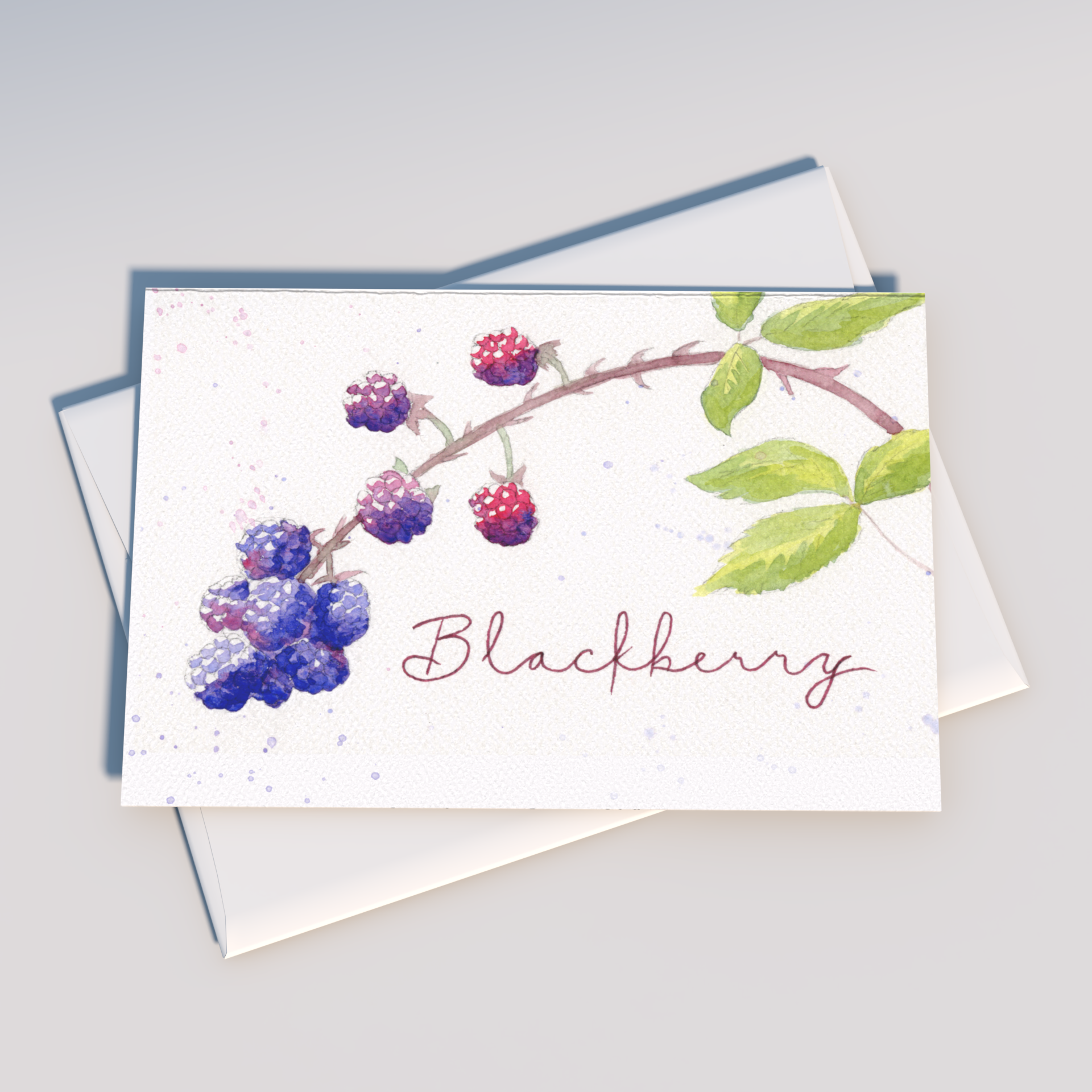 Tiday Art - Wholesale Everyday Greeting Card - Pennsylvania Native Plants Greeting Card Pack – A6 Set of 61