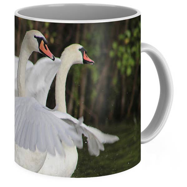 KAFFEETASSE - KAFFEETASSE „THE SWANS RACE“ für den Großhandel von sorayadapuzzostore