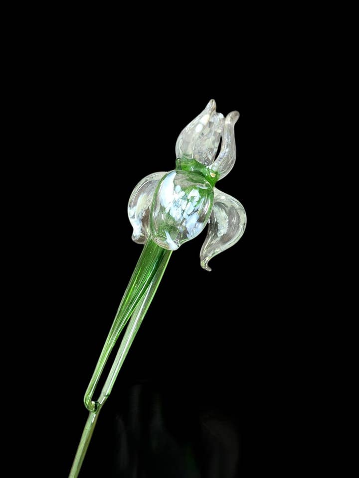Iris en Verre Transparent - Fleur à Longue Tige Faite à la Main pour la vente par Glass by Iness