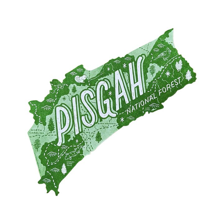 Pisgah National Forest Postcard for wholesale by Noteworthy Paper & Press