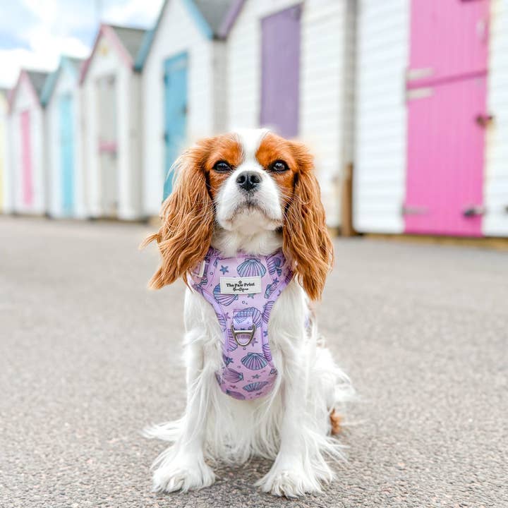 The Paw Print Boutique - Wholesale Pet Harness - Dog - Mermaids Tails Adventure Paws Harness7