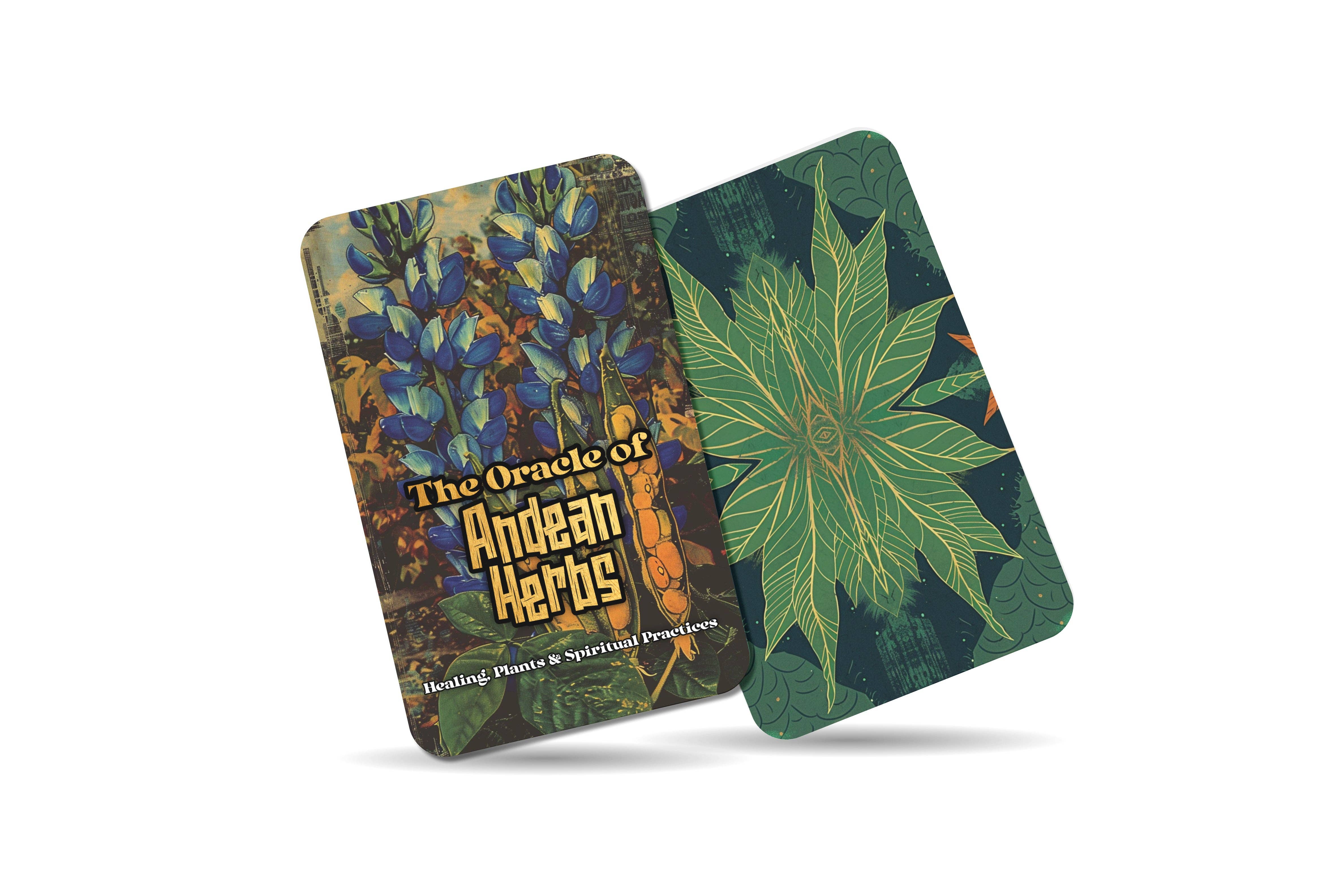 Ibiza Tarot USA - Wholesale Tarot Cards - Andean Herbs Mountain Medicine Oracle Deck – 22 Cards9