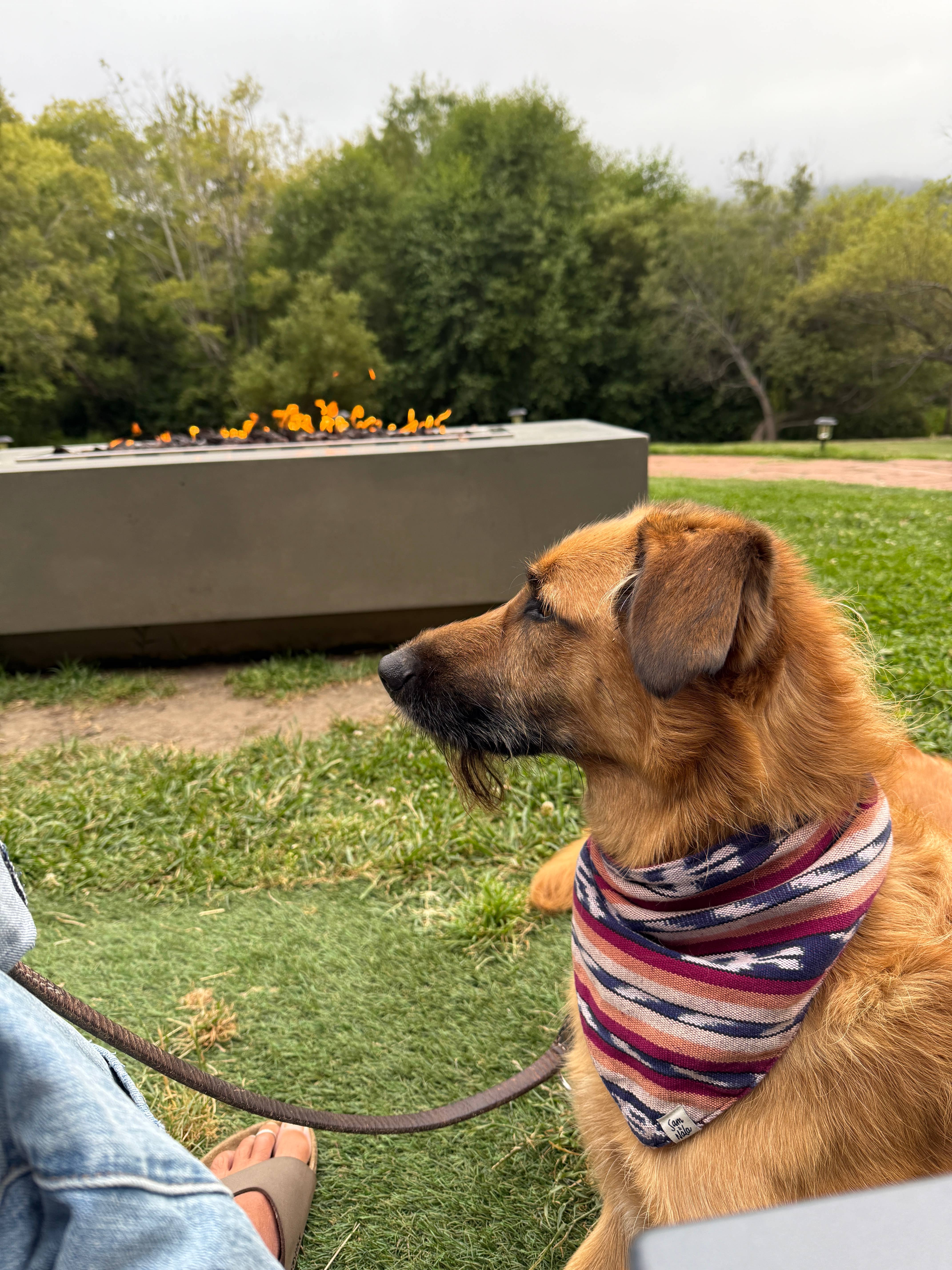 Sam & Nala | intentional style for pets & their people - Wholesale Pet Bandana - Dog - Esperanza Dog Bandana- Handwoven / Fair Trade11