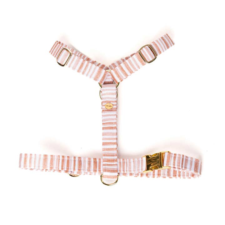 Naturlig elegans sele för wholesale av Archila