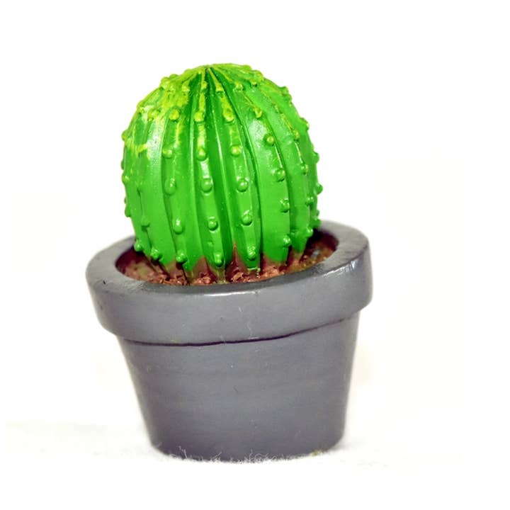 G & F Products - Vente Succulentes - Jardin Miniature Succulent, 4 pc2