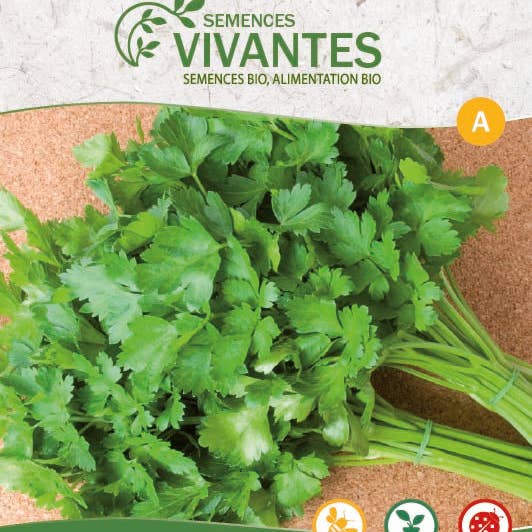 Semences Vivantes - Vente Graines de plantes - Persil commun 3 bio - Sachet de 1000 graines