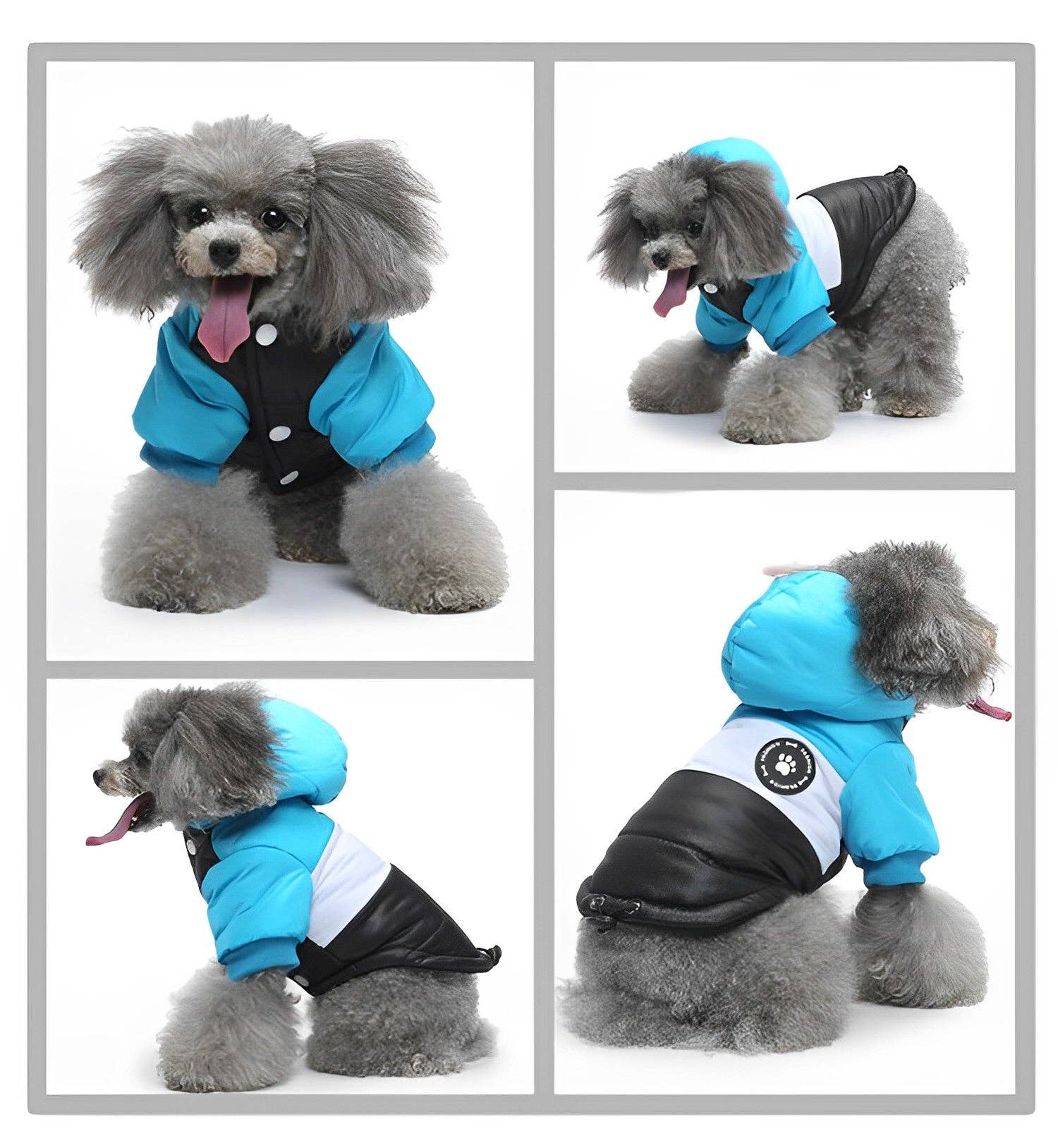Cheerhunting - Wholesale Pet Coat - Dog - Ozzie Dog Winter Coat - Cozy, Chic Protection for Your Pup4
