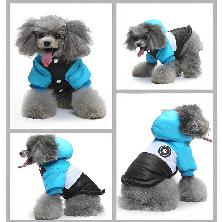 Cheerhunting - Wholesale Pet coat – Dog - Ozzie Dog Winter Coat - Cozy, Chic Protection for Your Pup4