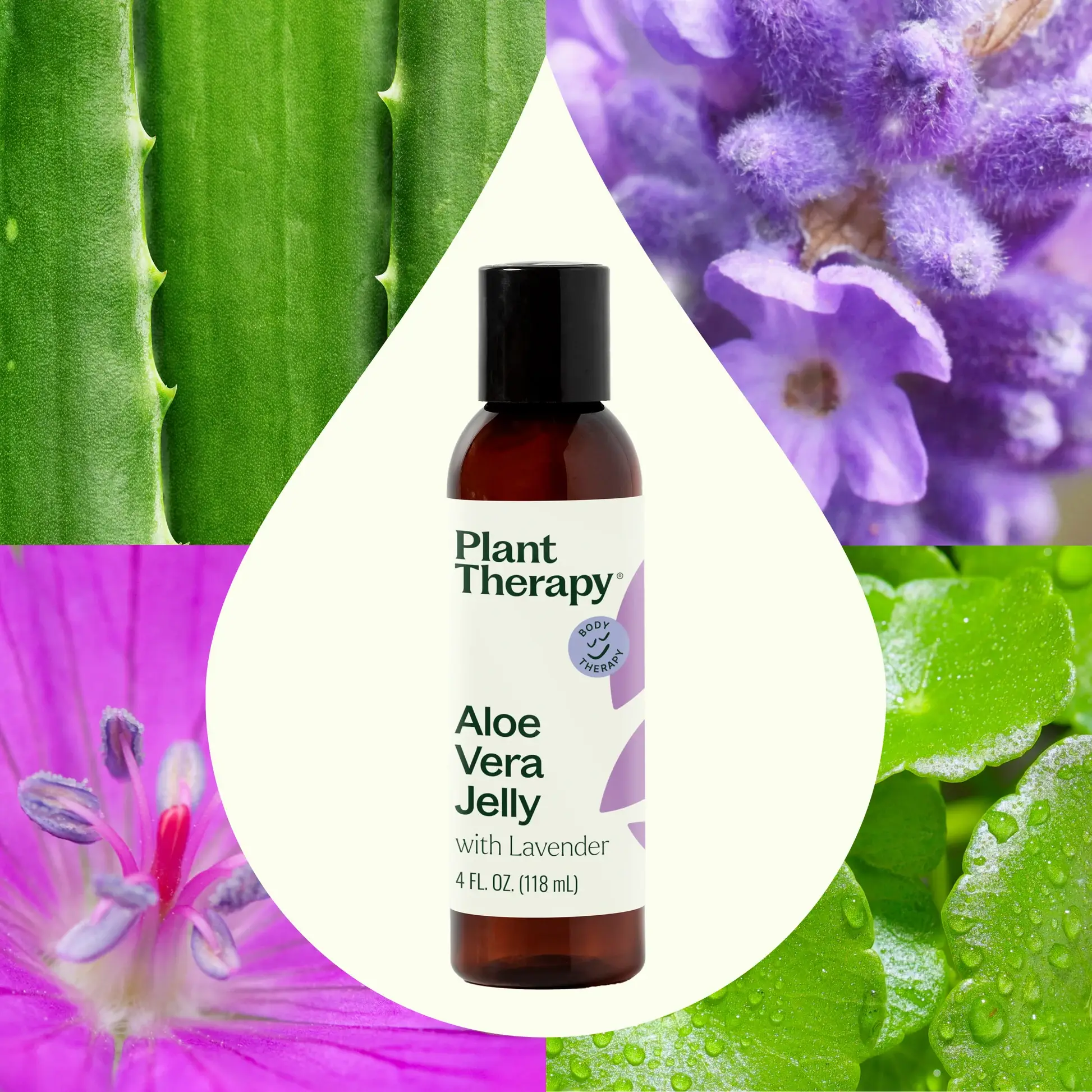 Plant Therapy - Venta al por mayor Espráis/cremas de aloe - Gelatina de lavanda y aloe vera, 4 onzas2