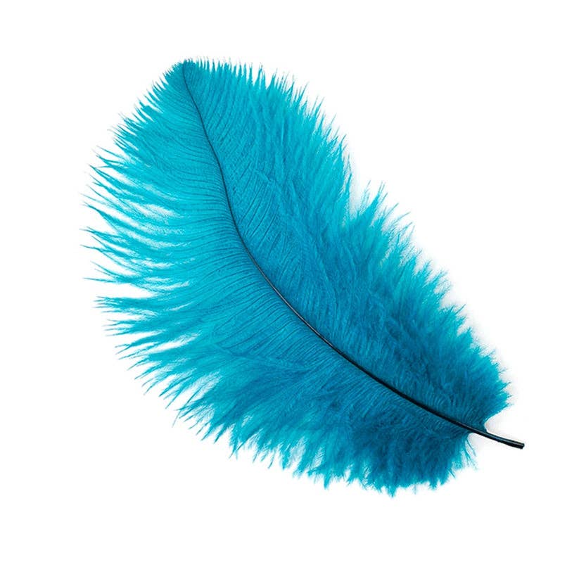 Zucker Feather Products - Wholesale Feathers - Ostrich Feathers 4-8" Drabs - Dark Aqua