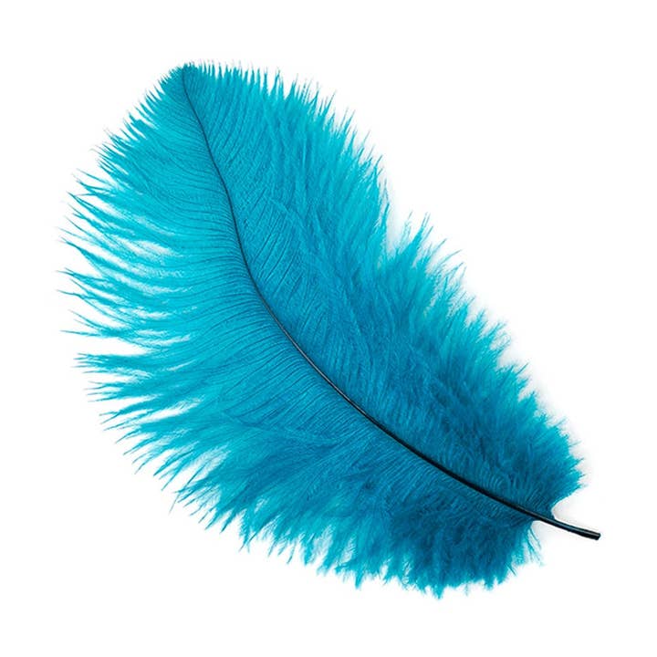 Zucker Feather Products - Wholesale Feathers - Ostrich Feathers 4-8" Drabs - Dark Aqua0