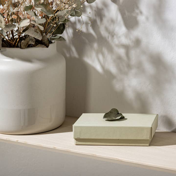 silver fir Weisstanne 02 wall shelf | size M for wholesale on Faire1