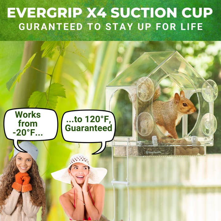 Nature Anywhere - Wholesale Bird feeder - Squirrel-I-View Window Squirrel Feeder5