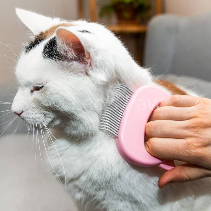 Leo's Paw - Wholesale Pet Grooming Aid - Dog - Cat Hair Removal Massaging Shell Comb