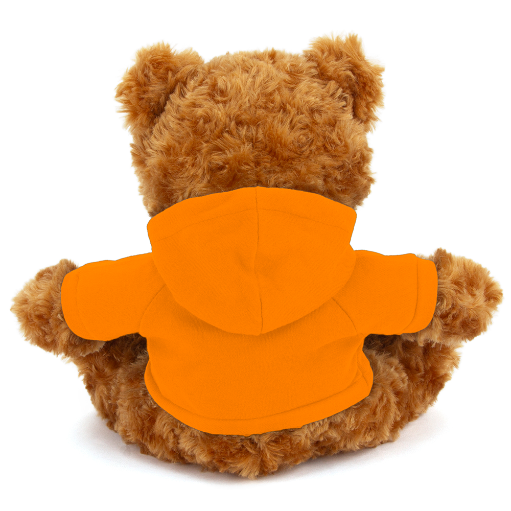 Plushland – wholesale Stuffed/plush toy – Kids & baby – 11" Personalized Teddy Bear in Hoodie | Custom Sitting Bear28
