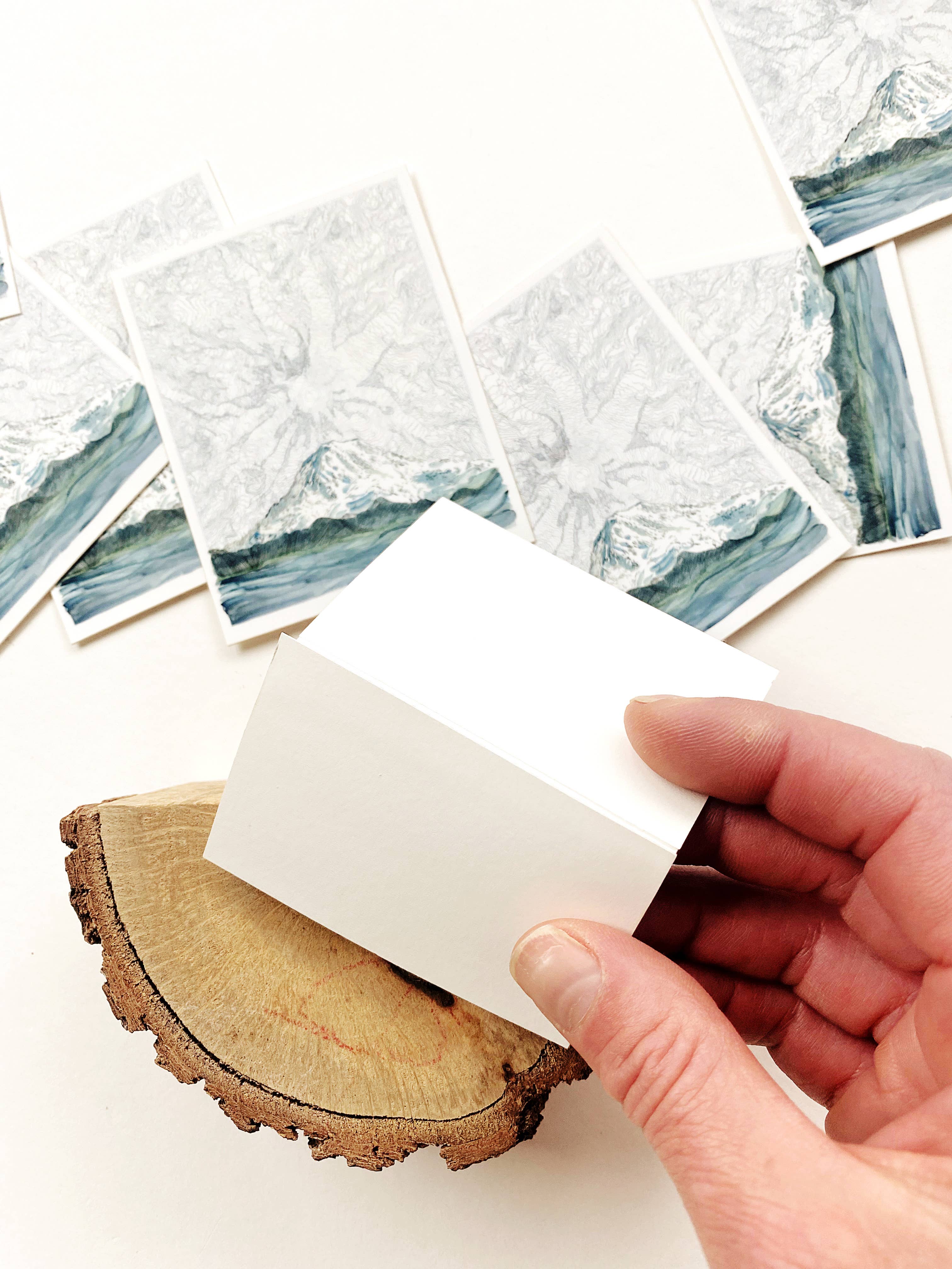 Turn-of-the-Centuries - Wholesale Sticker - MOUNT RAINIER TAHOMA Topo Map + Mountain - VINYL Sticker4