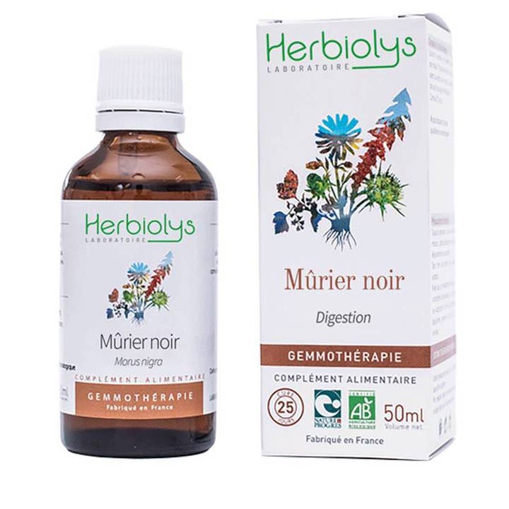 Black Mulberry Gemmotherapy for wholesale by Herbiolys