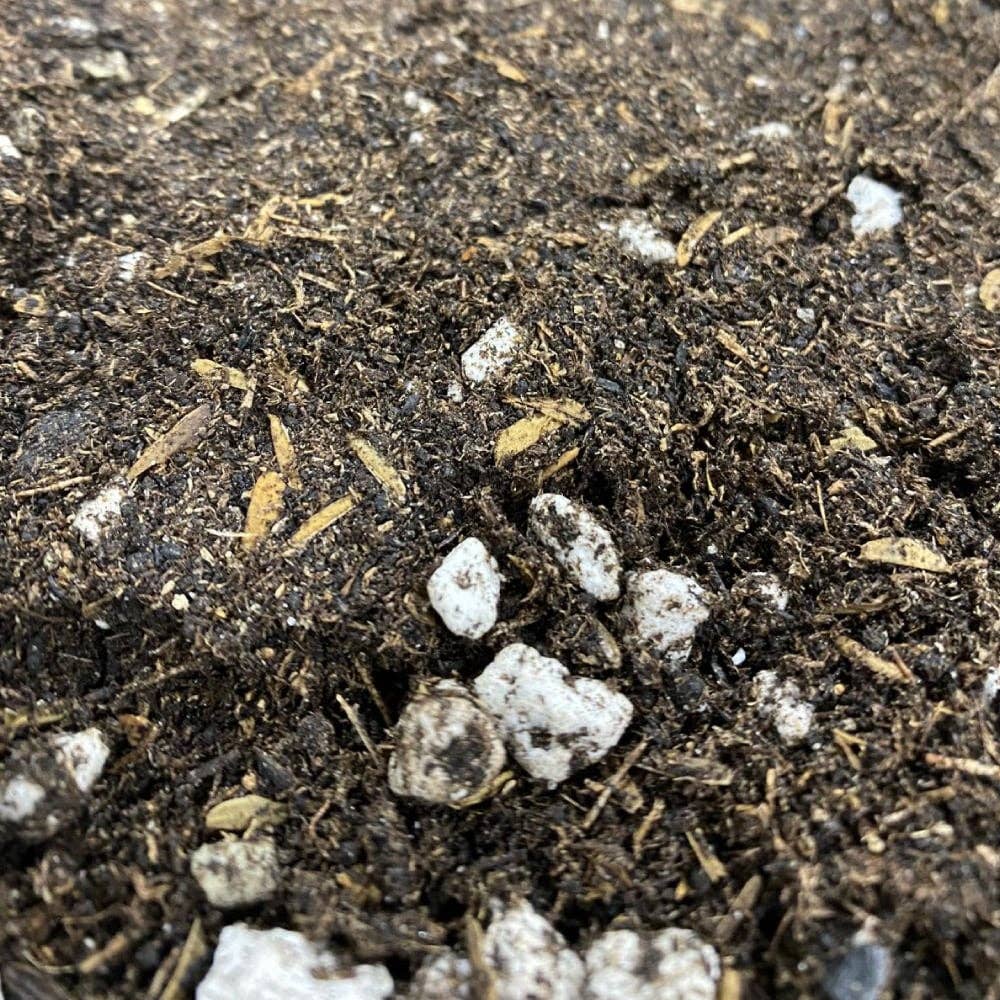 STRNG Seeds - Wholesale Planting/Potting Soil - Organic Living Soil1