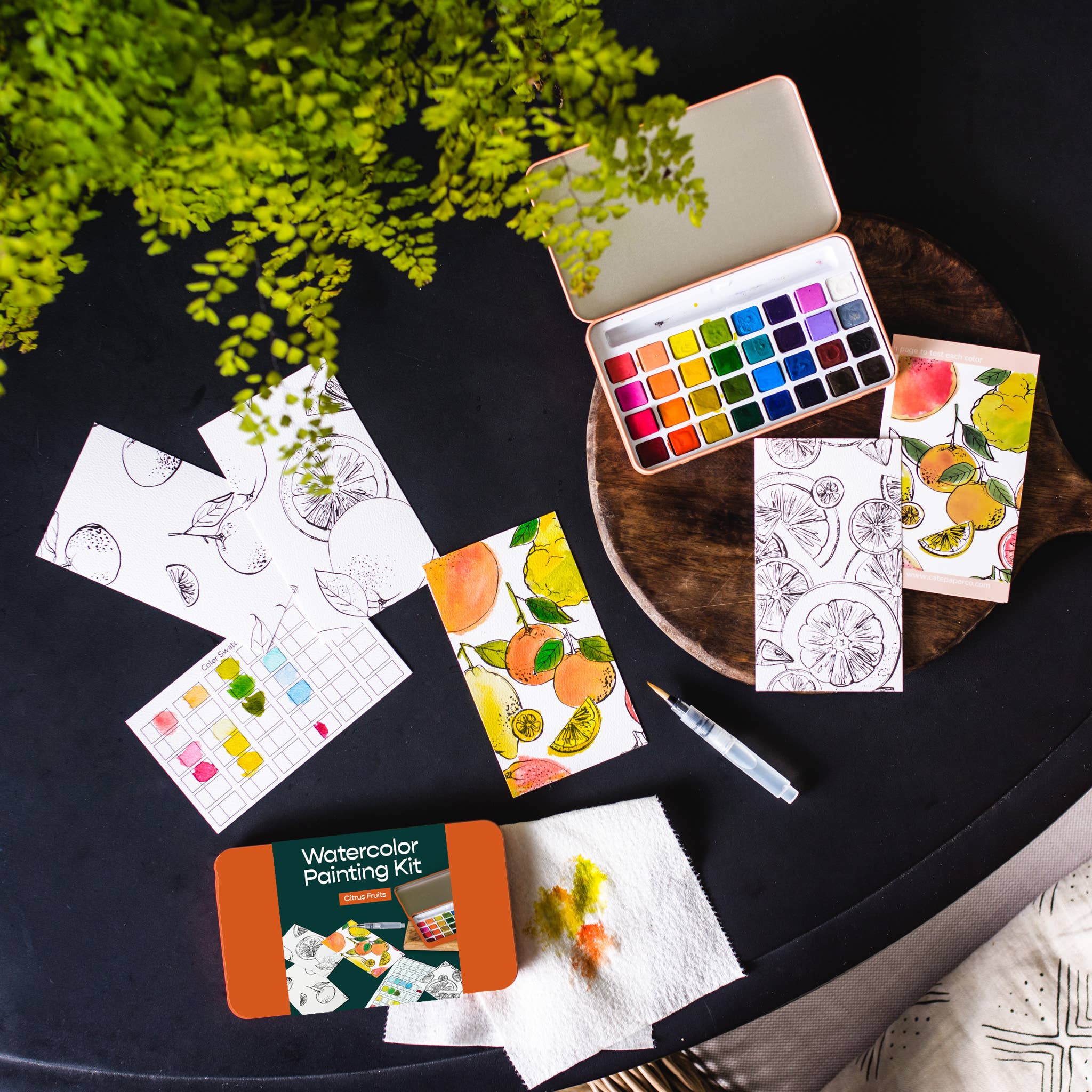 Cate Paper Co. - Wholesale Paint set - Citrus Fruits watercolor painting kit2