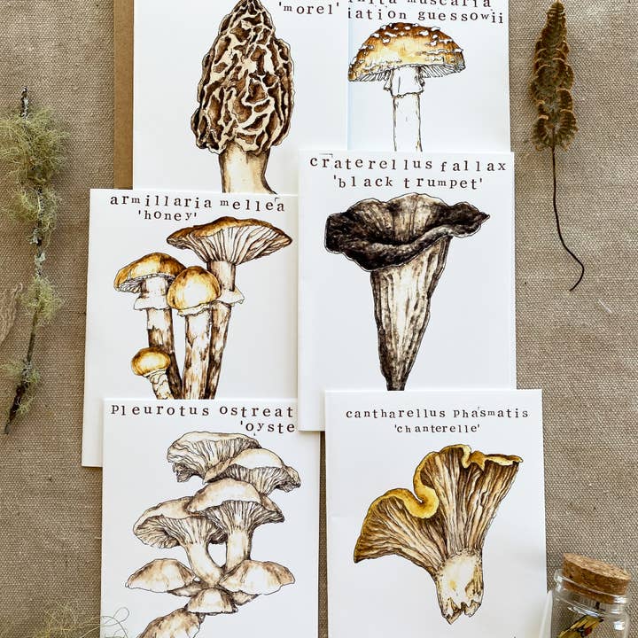 Pack de cartes de vœux 'Champignons du Michigan' (6 pièces) pour la vente par Madison Memering (mamemering)
