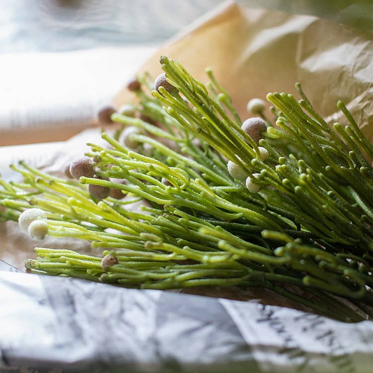 Rustic Reach - Vente Plantes artificielles - Tige artificielle Berzelia de 24 po de haut9