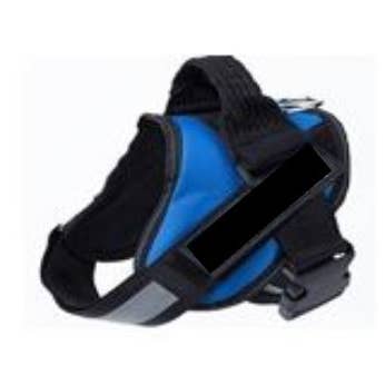 Harnais de Sécurité pour Animaux - Bleu pour la vente par MVPDOGS.com