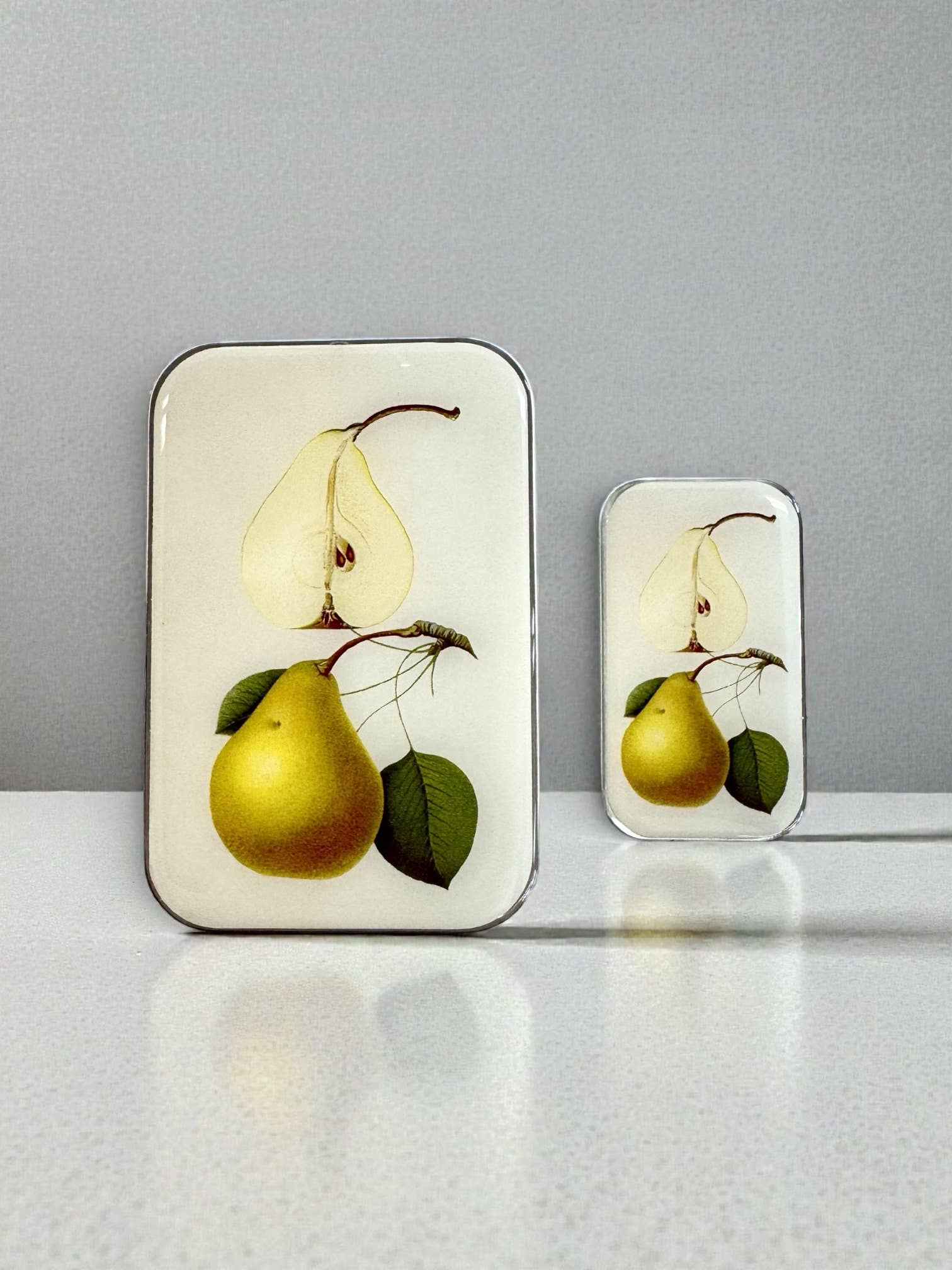 Firefly Notes - Wholesale Decorative Box - Botanical Pear Tin