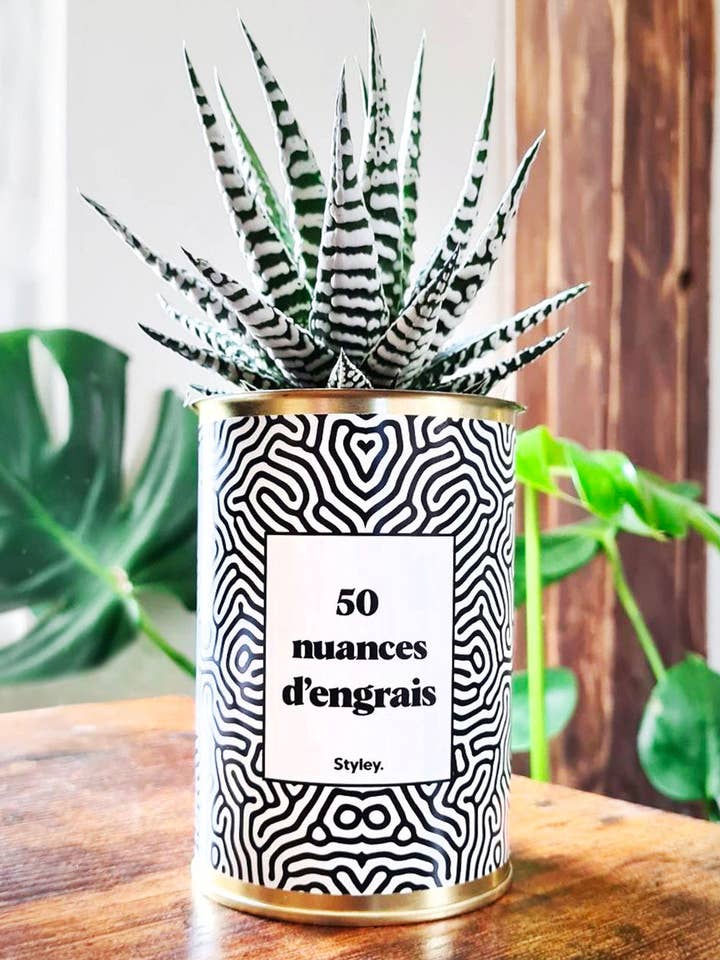 50 Nuances D'engrais - Plante Grasse for wholesale by Styley