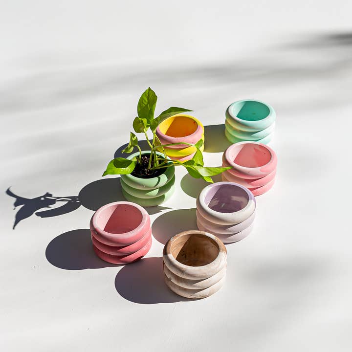 The Plant Committee - Wholesale Plant Pot - Mini Bubble Pot