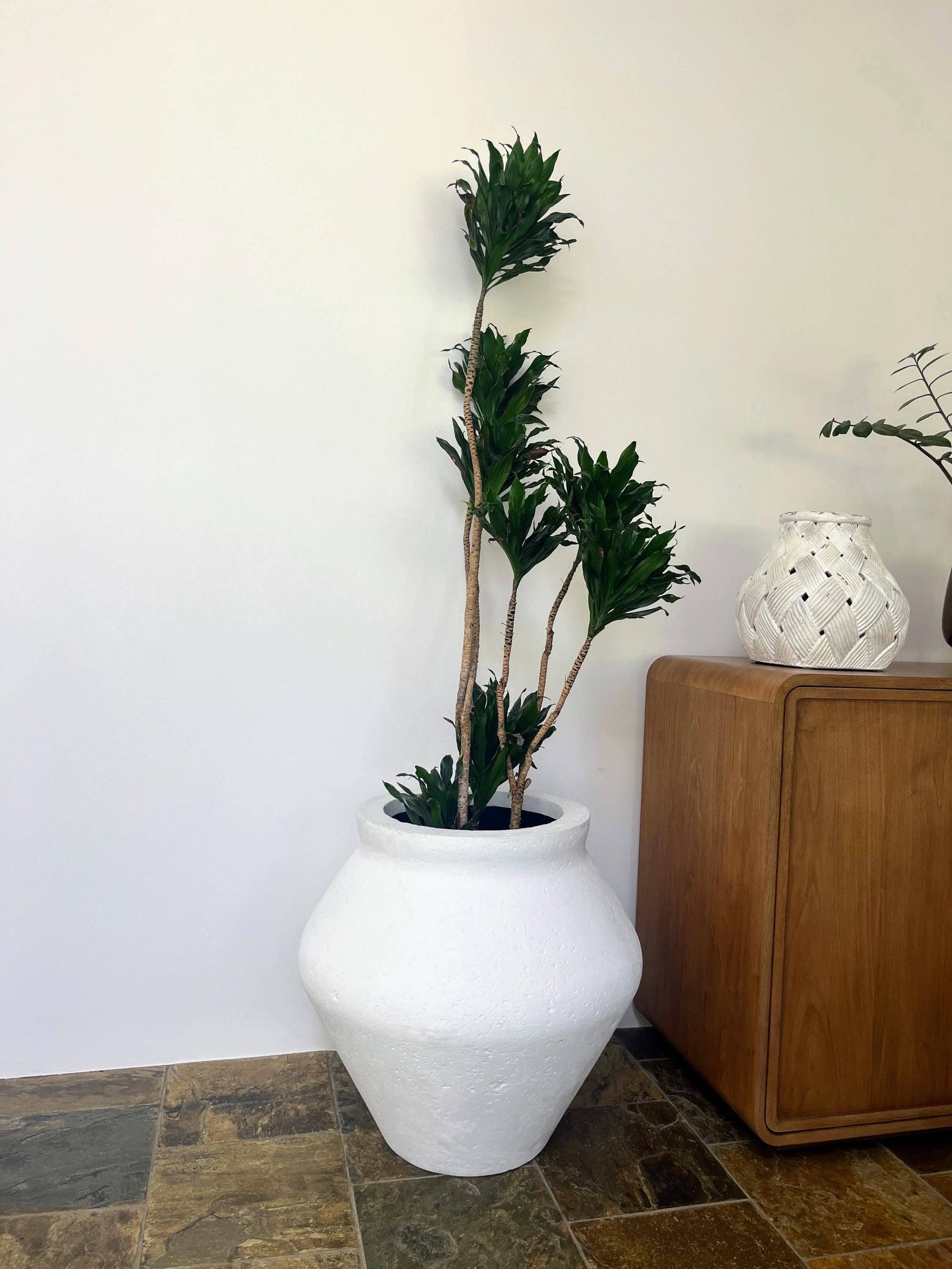 Tikal Composite Designs - Wholesale Plant Pot - Lightweight Concrete Planter Vessel8