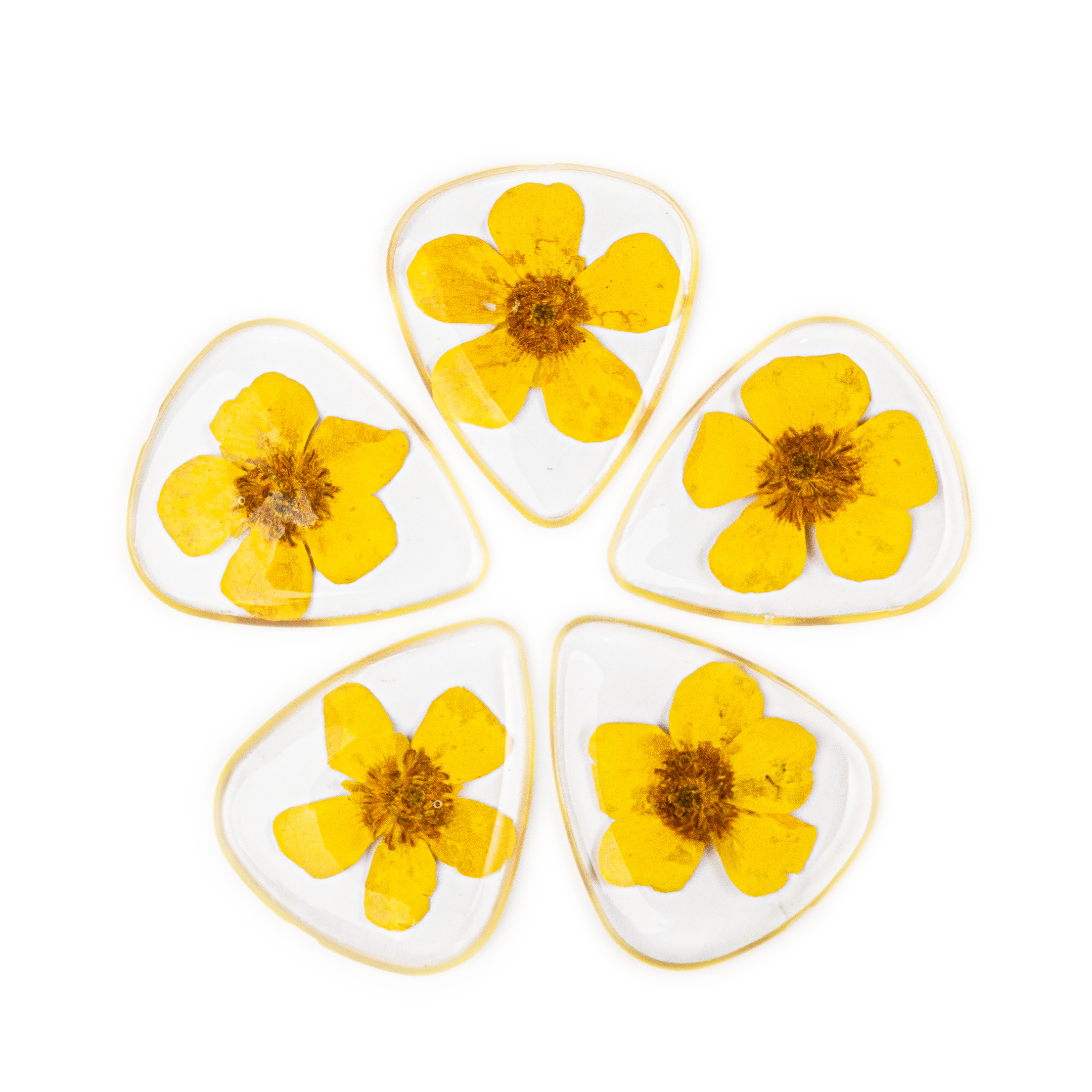 Terra Tone – wholesale Music accessory – Flower Guitar Picks - Buttercup Novelty Gift For Music Lover4