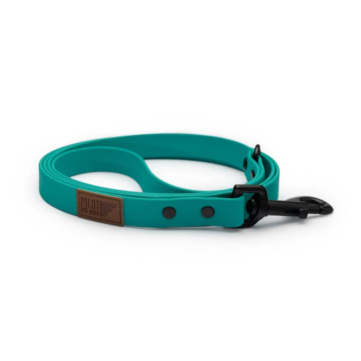 Teal Sport Leash for wholesale by Pilot Pet Gear