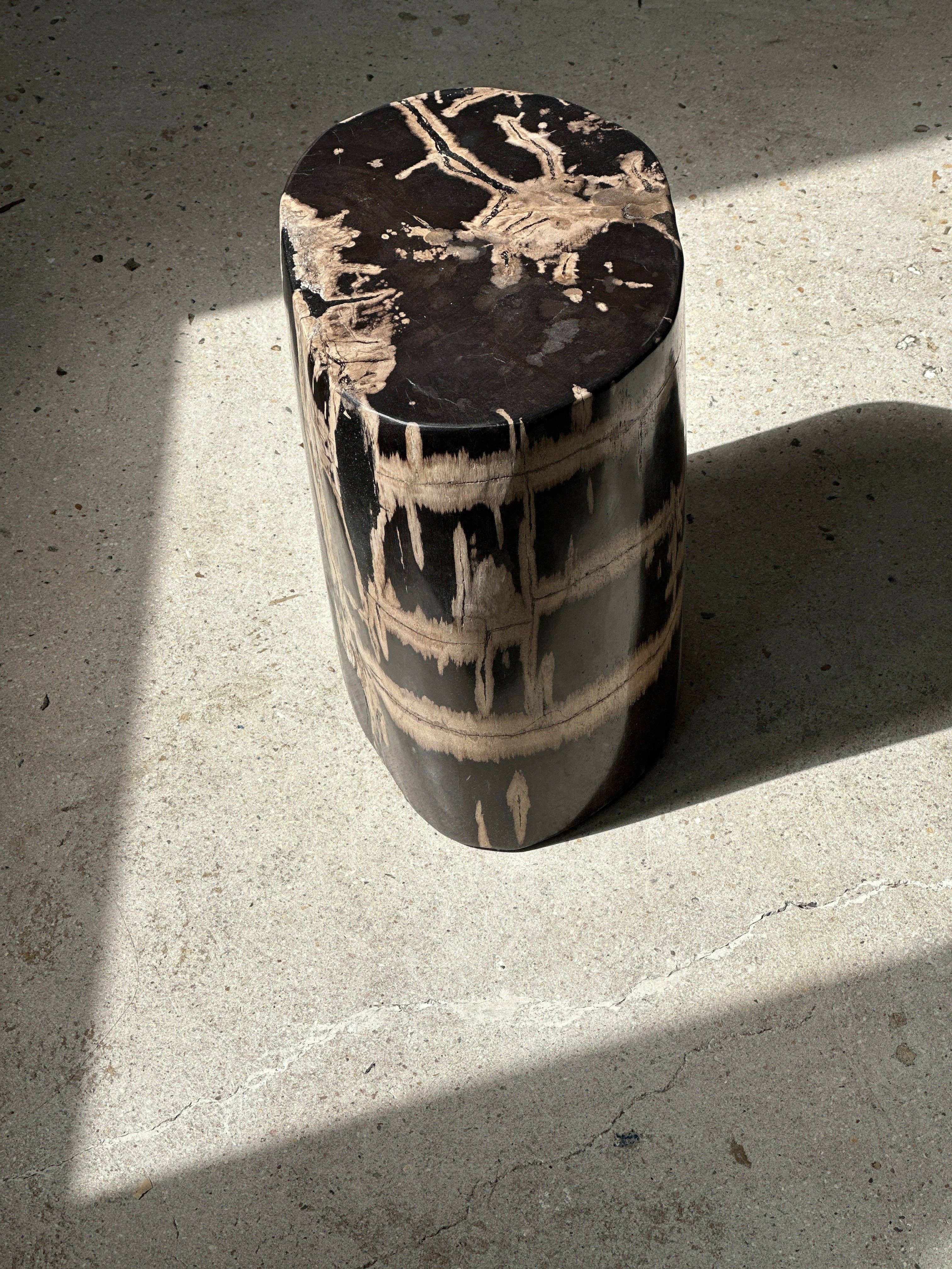 Office Objets - Vente Tables d'appoint - Table d'appoint en bois pétrifié15