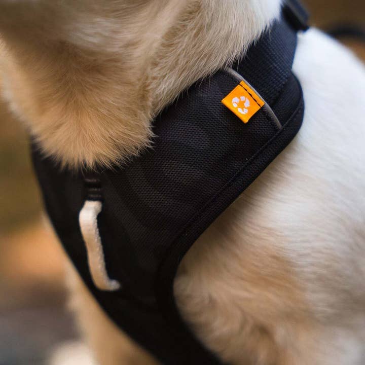 Woolly Wolf - Wholesale Pet Harness - Dog - Roam Harness Black3