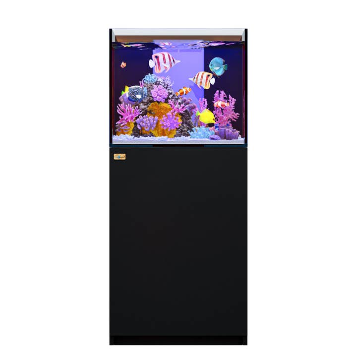 Aquarium récifal de corail de 63 gallons en verre ultra clair avec décantation intégrée tout noir pour la vente par AQUA DREAM