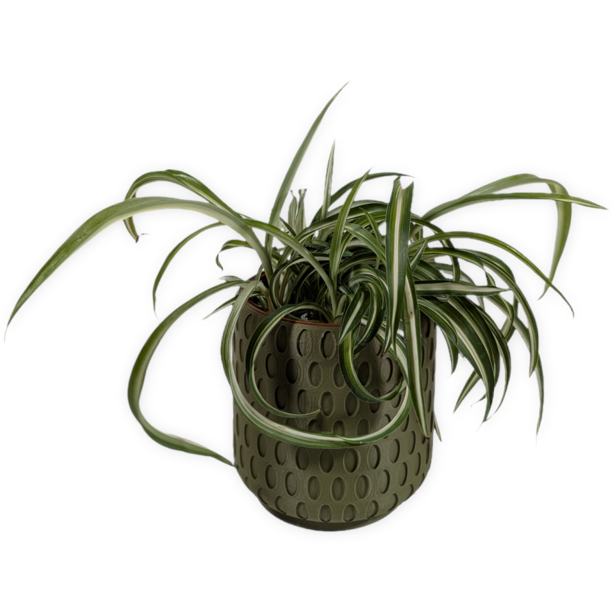 Leafprints.3d - Wholesale Plant Pot - The Bud - 4 Inch Planter with Drip Tray1